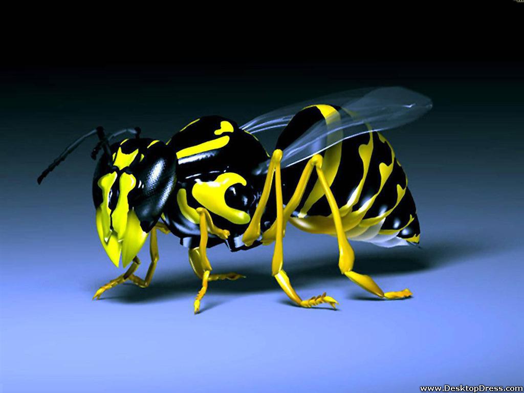 3d Bug - 3d Animated Mobile Wallpapers Free Download - HD Wallpaper 