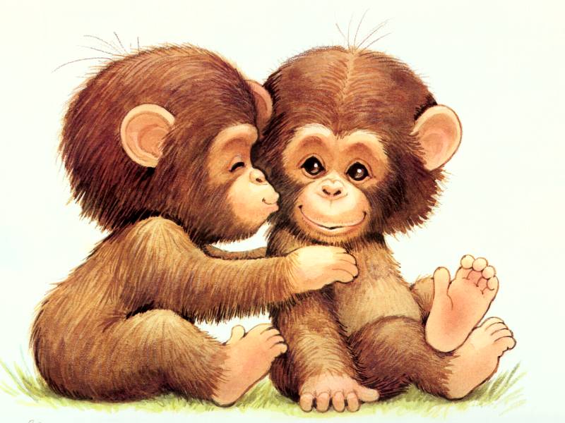 Download Cute Cartoon Monkey Wallpaper - Cartoon Monkey - 800x600 Wallpaper  