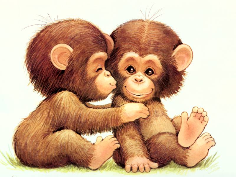 Download Cute Cartoon Monkey Wallpaper - Cartoon Monkey - 800x600 Wallpaper Download Cute Cartoon Monkey Wallpaper - Cartoon Monkey - 800x600 Wallpaper