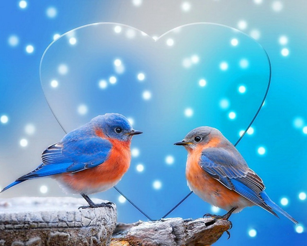 Blue Snow Love Birds Hart Wallpaper - Cute Mobile Wallpapers Free Download  - 1280x1024 Wallpaper 