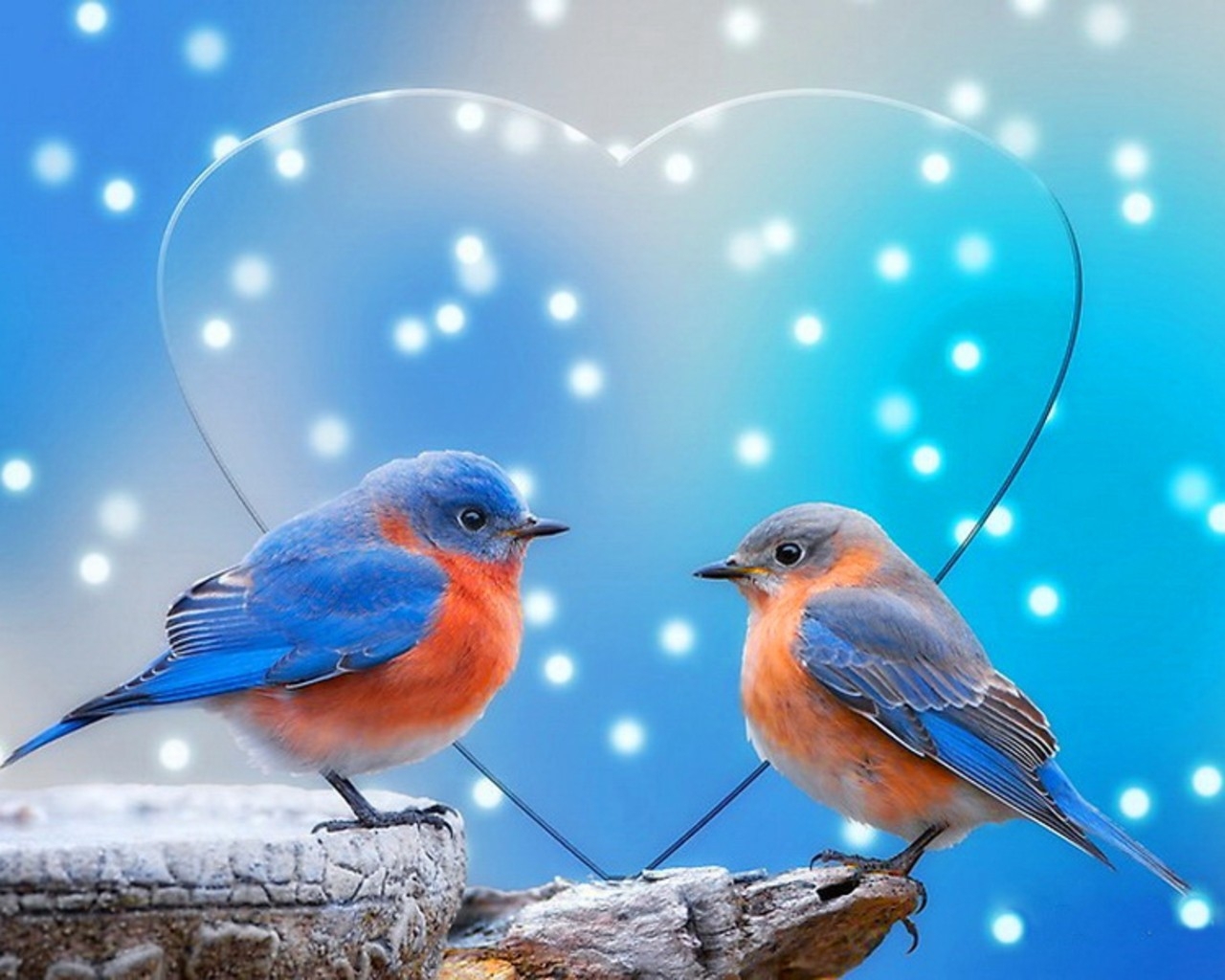 Blue Snow Love Birds Hart Wallpaper - Cute Mobile Wallpapers Free Download - HD Wallpaper 