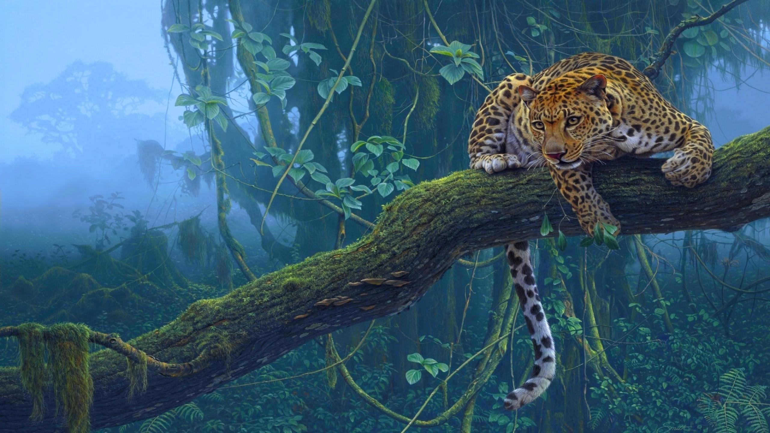 Leopards In The Jungle - HD Wallpaper 