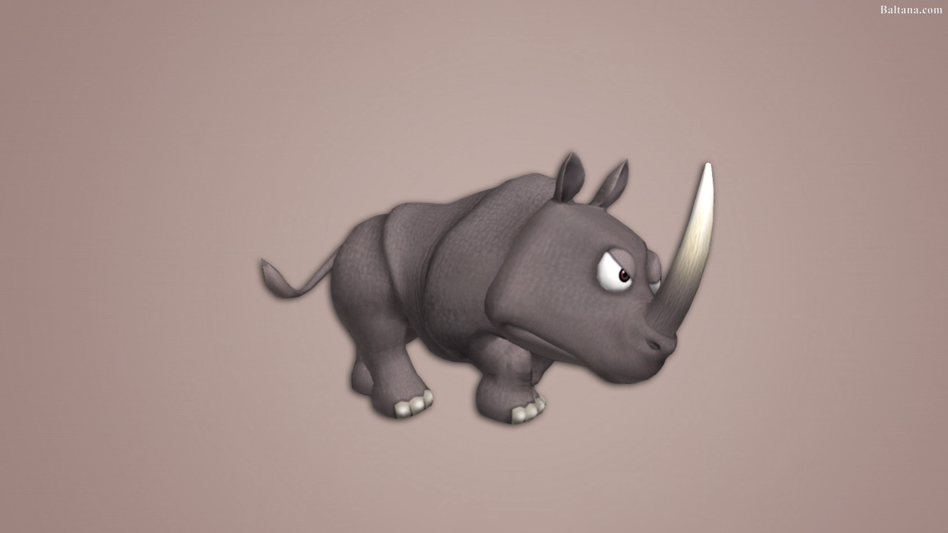 Rhino Best Hd Wallpaper - Black Rhinoceros - HD Wallpaper 