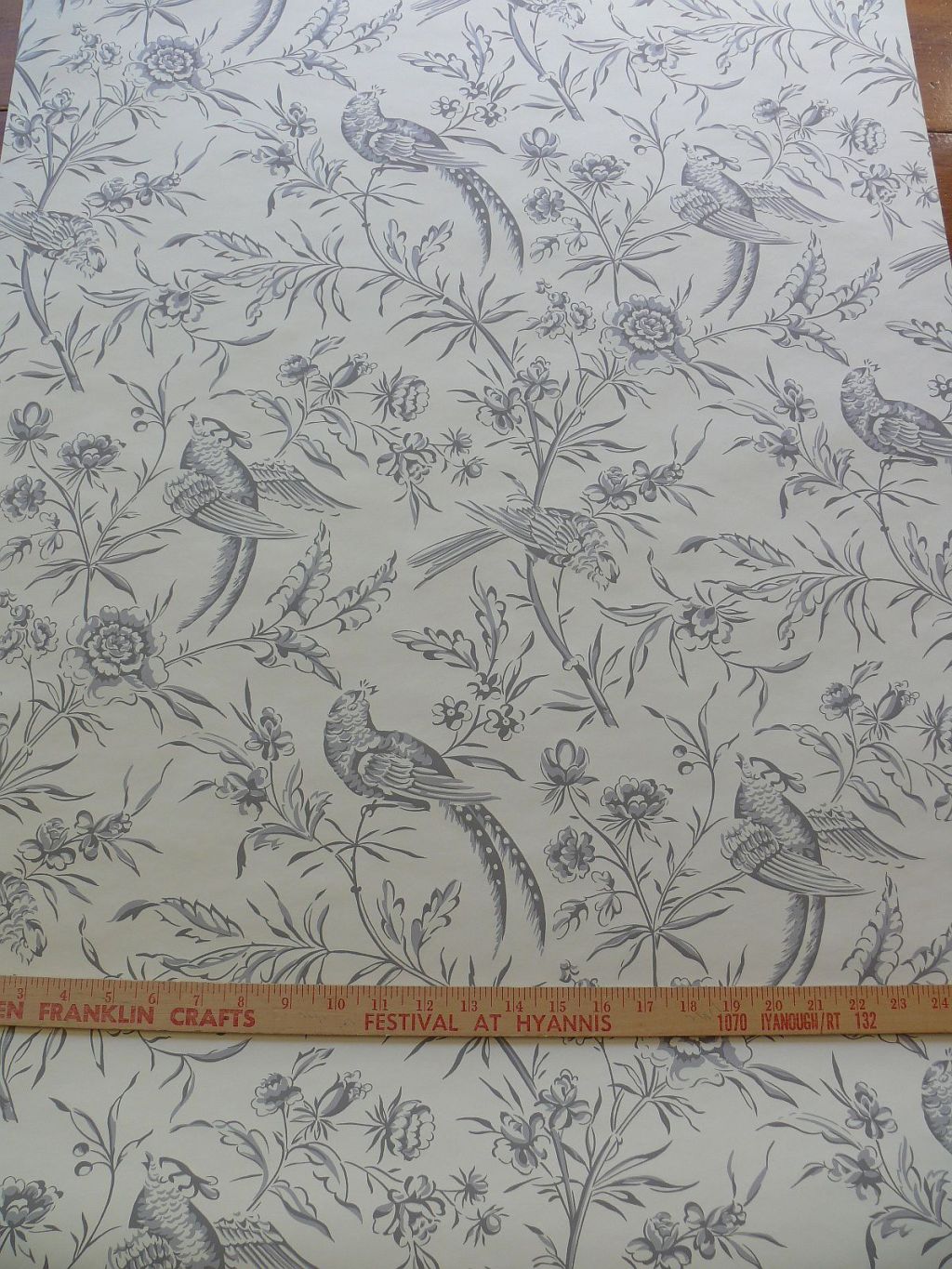 Grey And White Bird - HD Wallpaper 