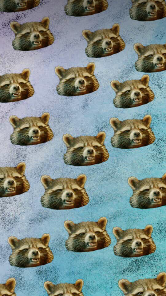 Wallpaper Rocket Raccoon💎 - Shiba Inu - HD Wallpaper 