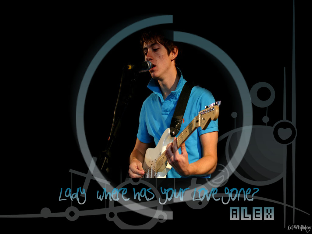 Alex Turner - HD Wallpaper 