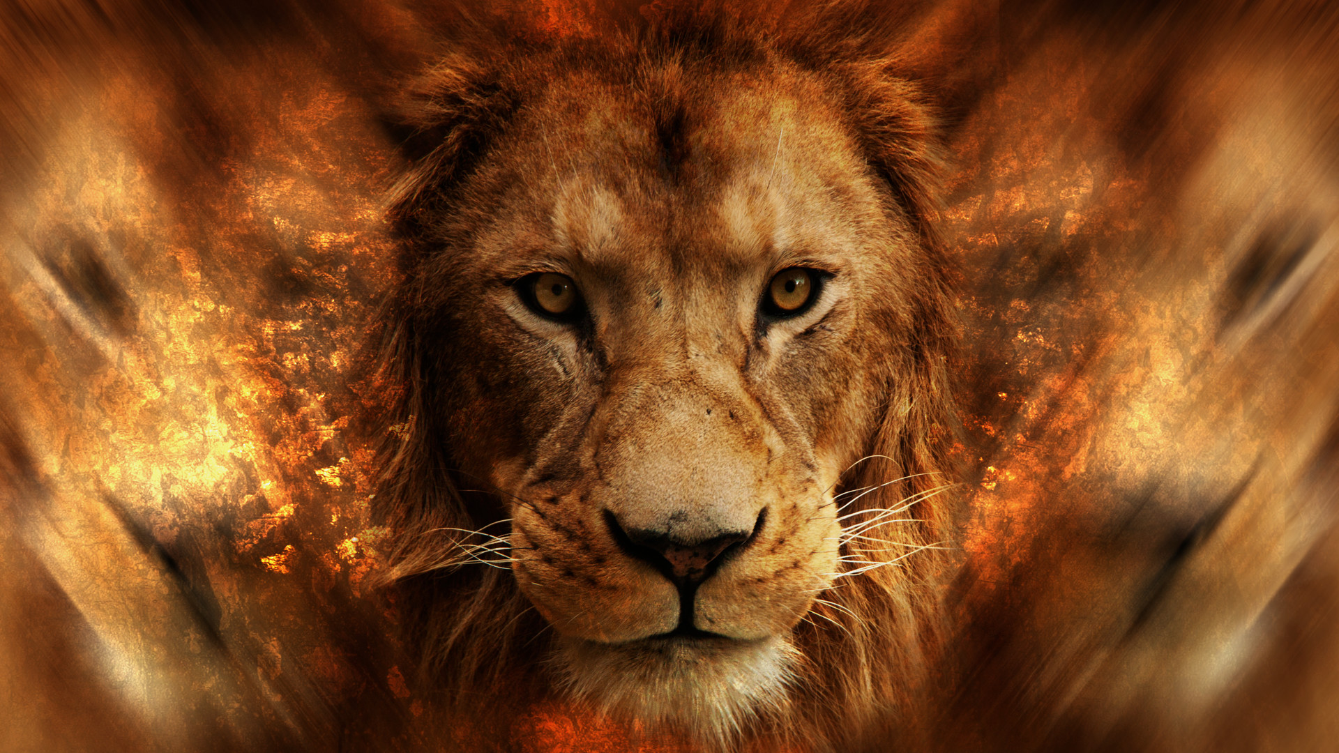 Lion, Animals, Africa - Lion And The Lamb Background - HD Wallpaper 