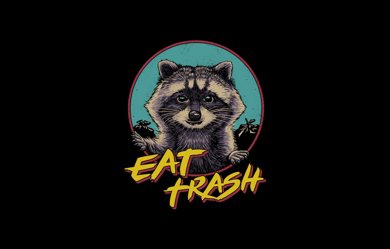 Photo Wallpaper Minimalism, Humor, Style, Background, - Procyon - HD Wallpaper 