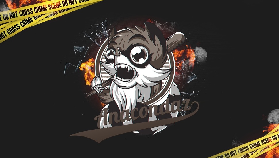 Anacondaz, Minimalism, Raccoon Desktop Background - Wallpaper - HD Wallpaper 