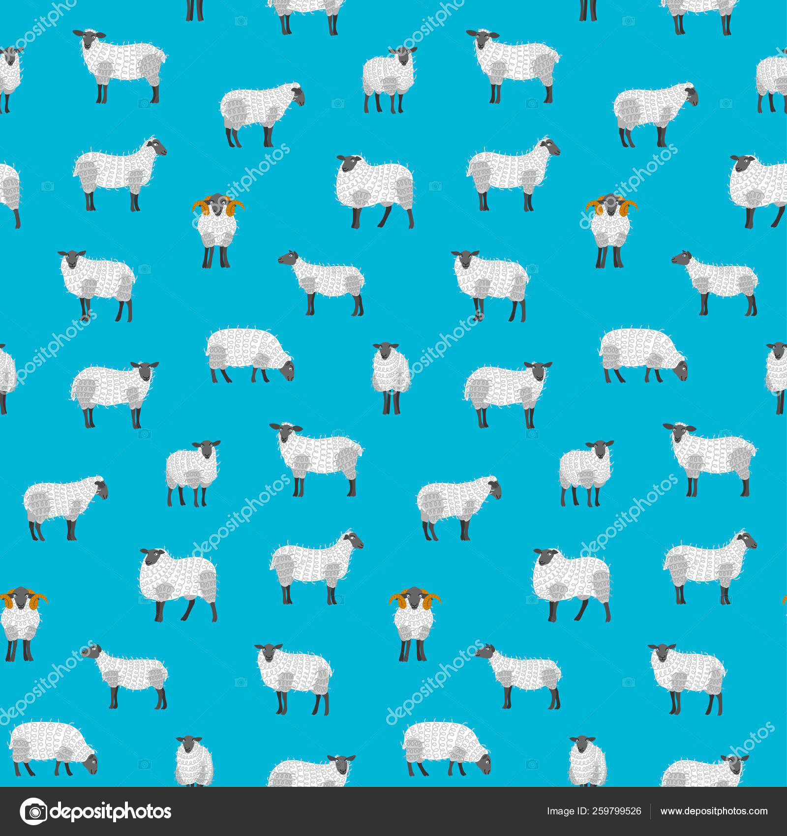 Sheep - HD Wallpaper 