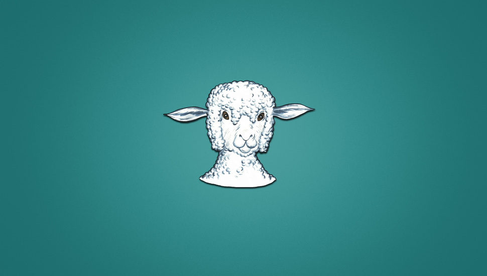 Minimalism, Lamb, Animal, Head, Sheep Desktop Background - Обои На Рабочий Стол Бараны - HD Wallpaper 