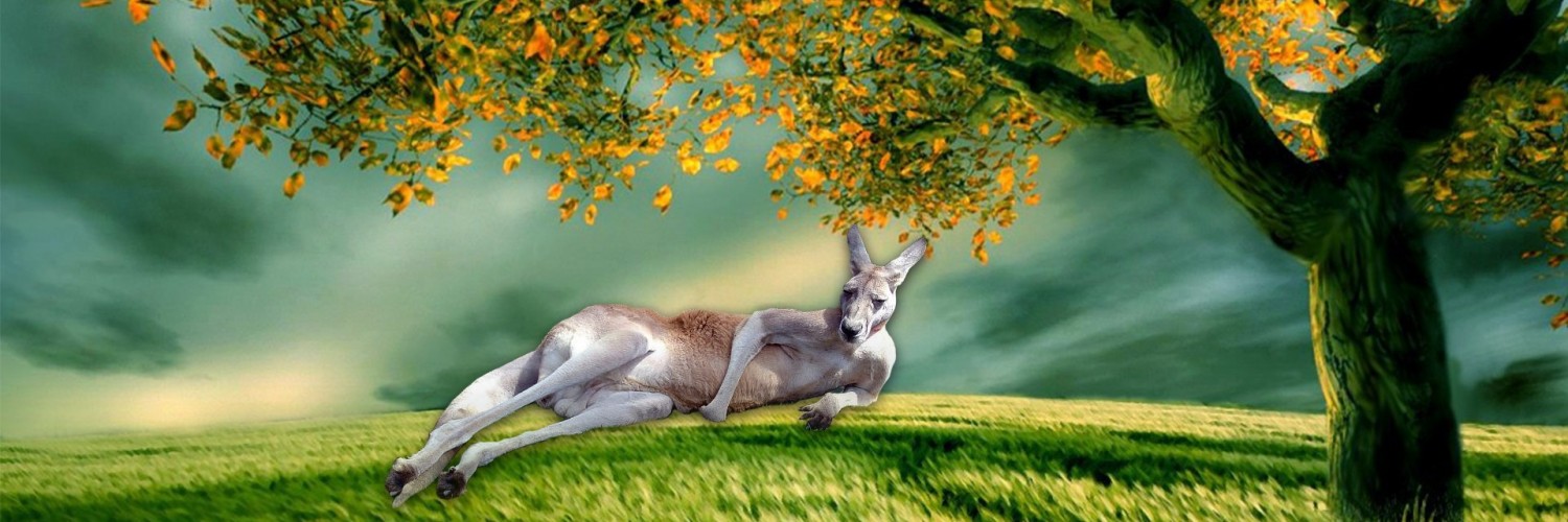 Natures Wallpapers With Quotes - HD Wallpaper 