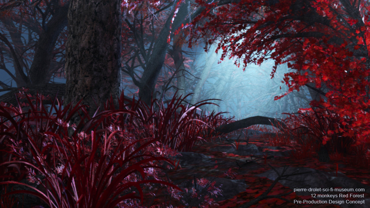 Pond - HD Wallpaper 