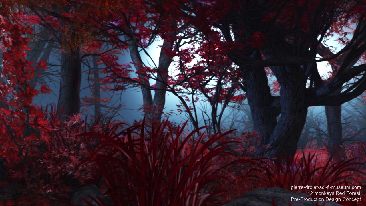Autumn - HD Wallpaper 