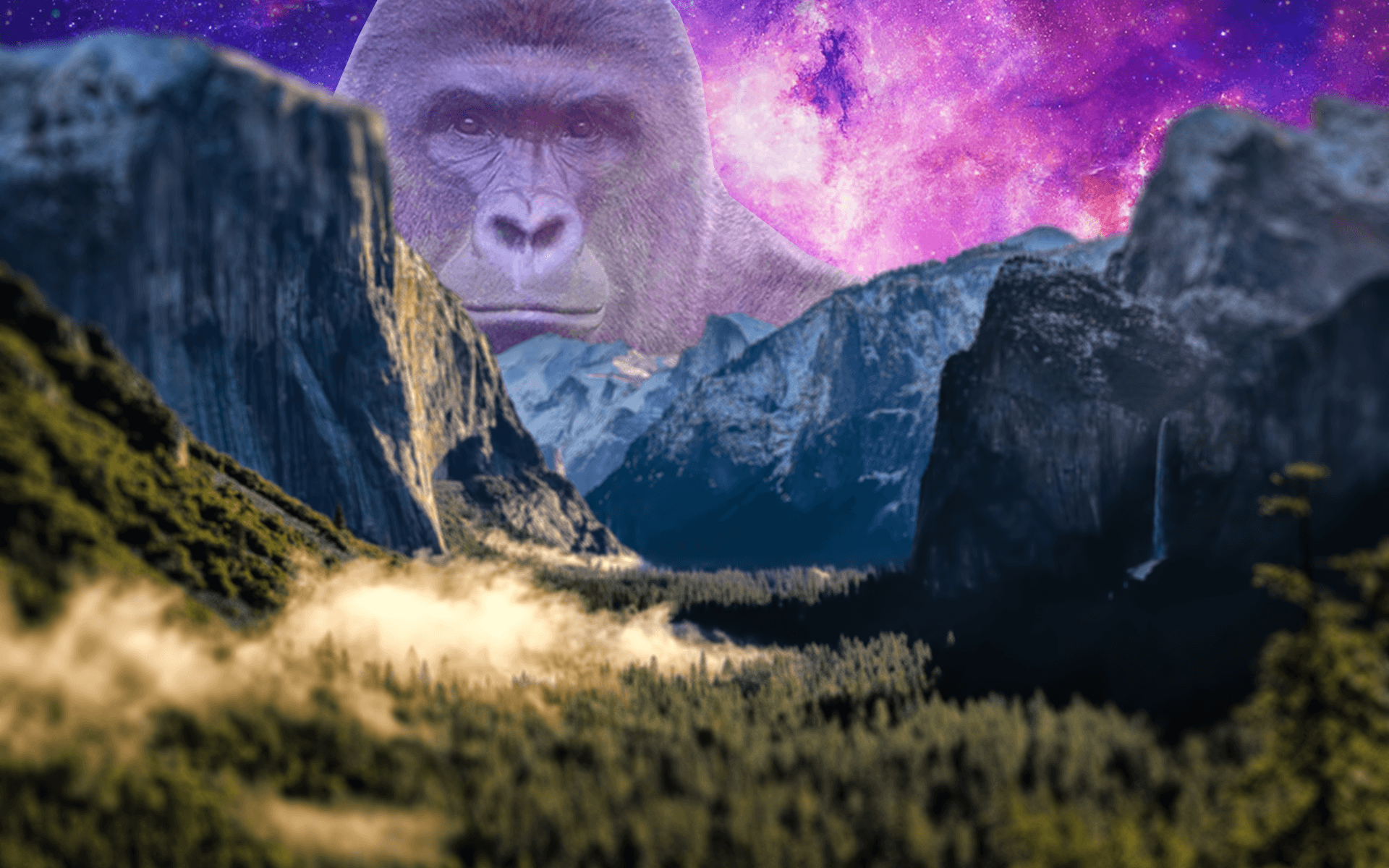 Harambe Desktop Background - Yosemite Valley Usa - HD Wallpaper 