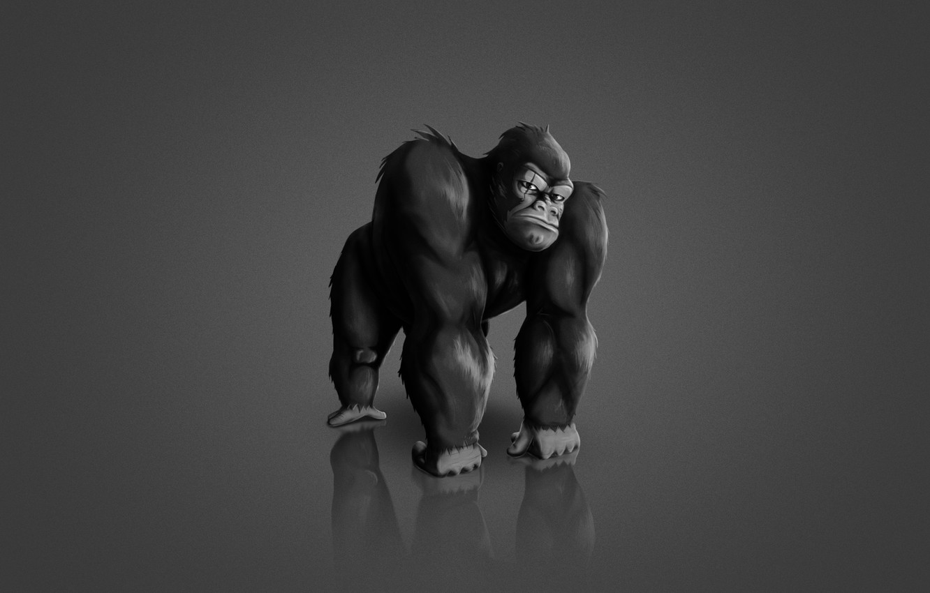 Photo Wallpaper The Dark Background, Animal, Monkey, - Minimalist Wallpaper Gorilla - HD Wallpaper 