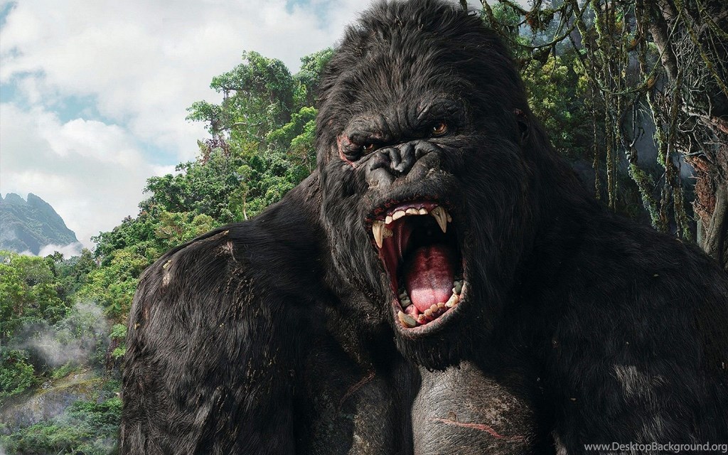 High Def King Kong - HD Wallpaper 
