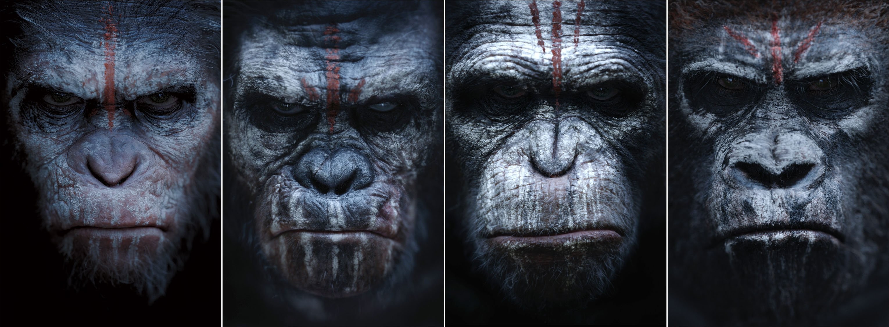 Dawn For The Planet Of The Apes - HD Wallpaper 