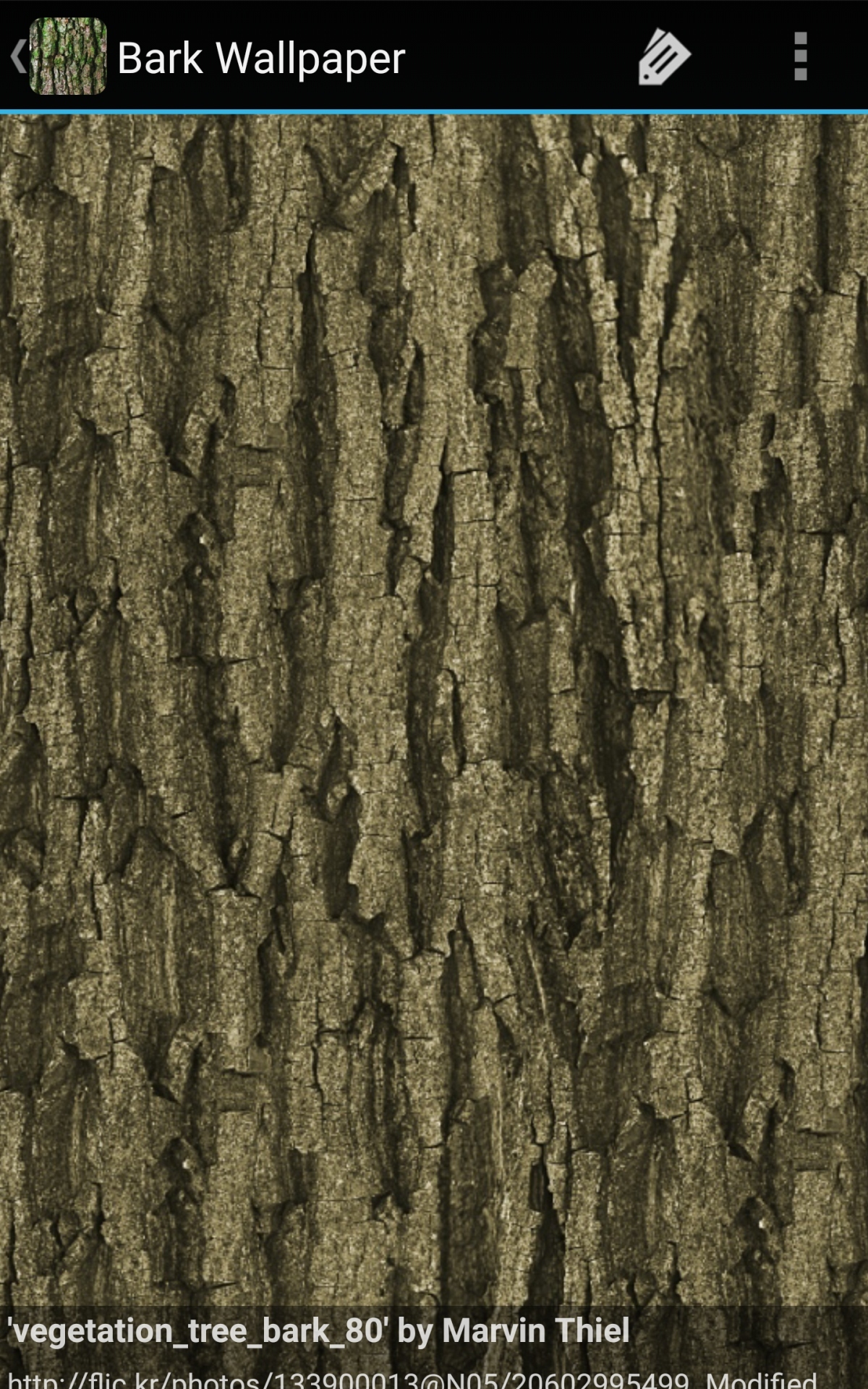 Birch Bark Wallpaper - 1200x1920 Wallpaper - teahub.io