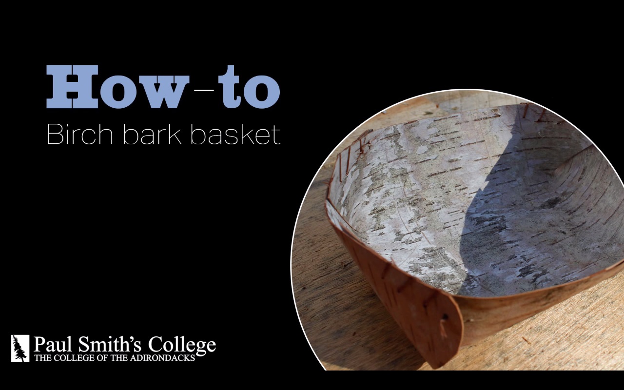 How To Make A Birch Bark Basket - Make A Birch Bark Basket - HD Wallpaper 