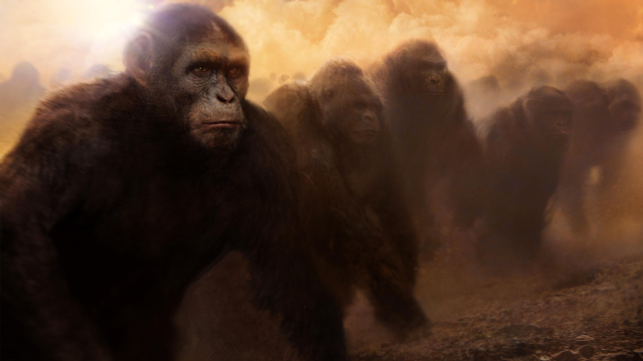 Rise Of The Planet Of The Apes Wallpapers Hd Download - Apes Alone Weak Apes Together Strong - HD Wallpaper 