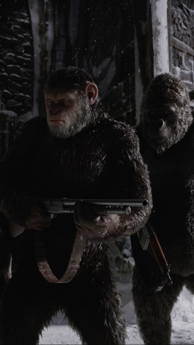 War For The Planet Of The Apes, 4k, Gorilla, Snow - War Planet Of The Apes Ape - HD Wallpaper 