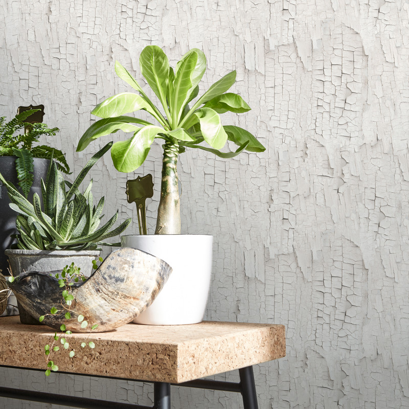 Leroy Merlin Papier Peint Brique Blanche 800x800 Wallpaper Teahub Io