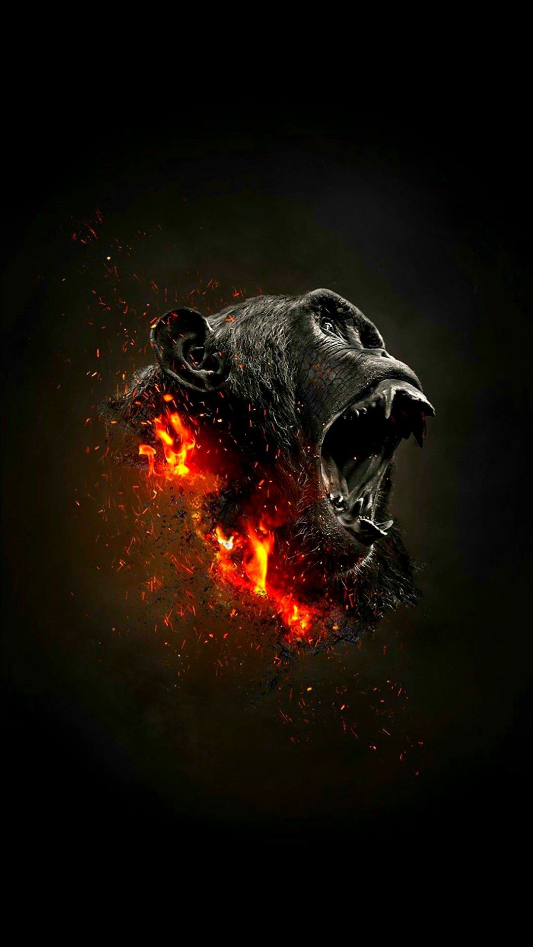 Android, Iphone, Desktop Hd Backgrounds / Wallpapers - Angry Gorilla Wallpaper Hd - HD Wallpaper 