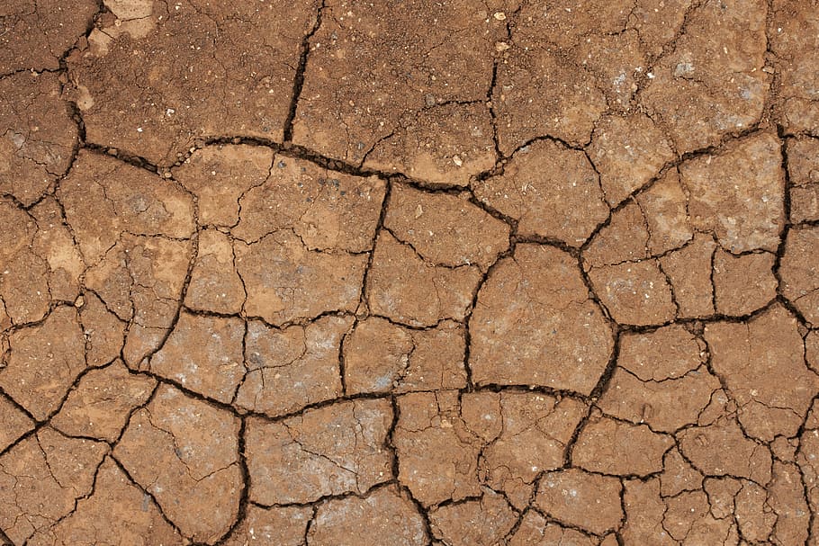 Terry, Dried Up, Cracked, Water, Thirst, Global Warming, - Draught - HD Wallpaper 