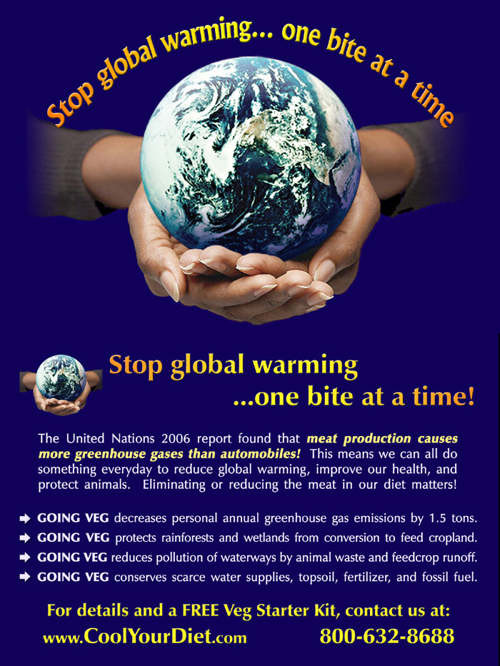 Poster - Earth - HD Wallpaper 