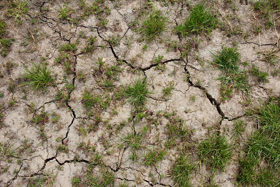Dry, Earth, Cracks, Lack Of Rain, Drought, Ground, - Amend Clay Soil - HD Wallpaper 