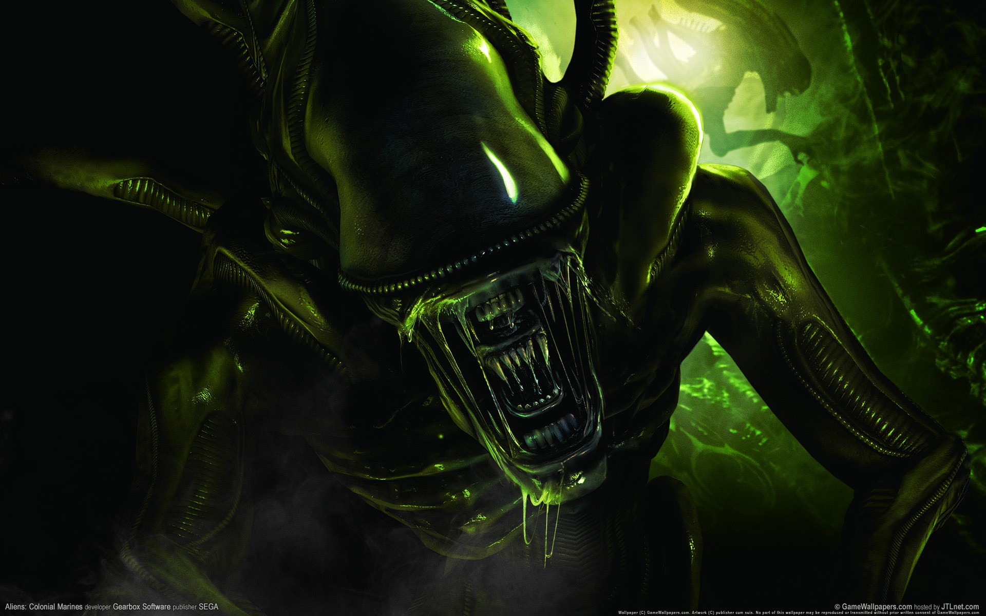 Aliens Colonial Marines 11734 Wallpaper - Xenomorph Drool - HD Wallpaper 
