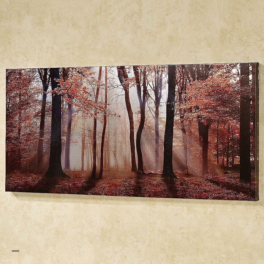 Grove - HD Wallpaper 