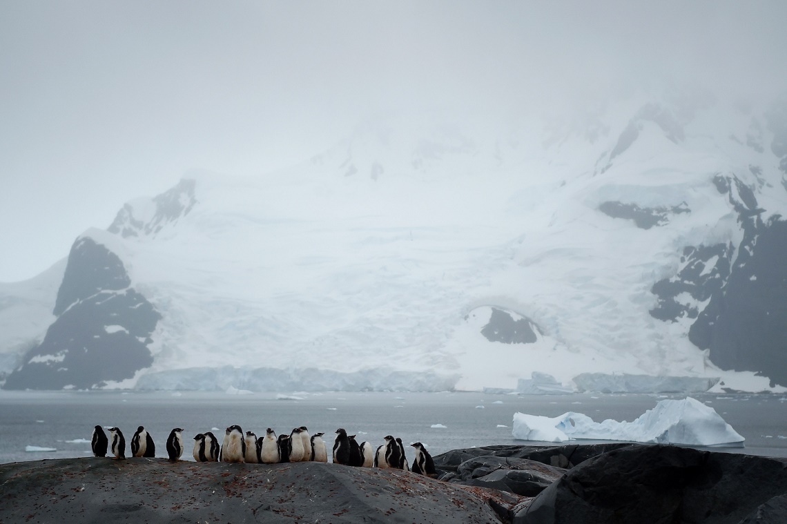 Climate Change Background Effects - HD Wallpaper 