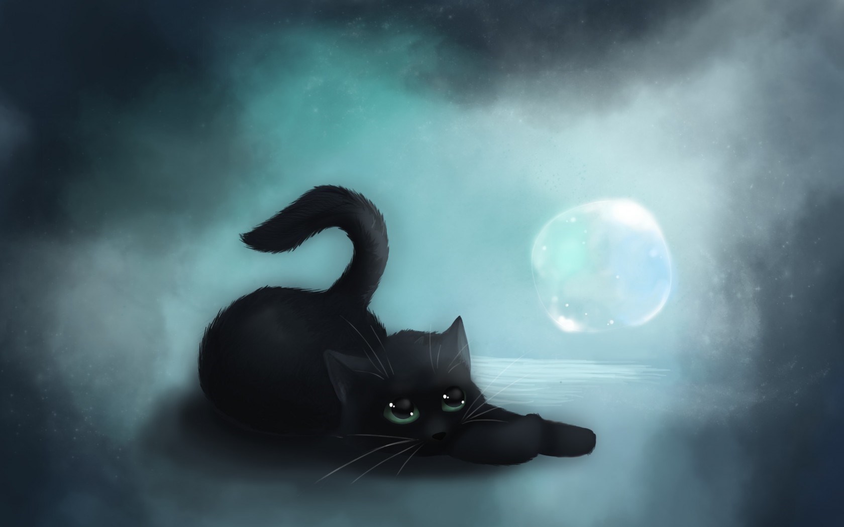 Cute Black Cat Background - 1680x1050 Wallpaper 