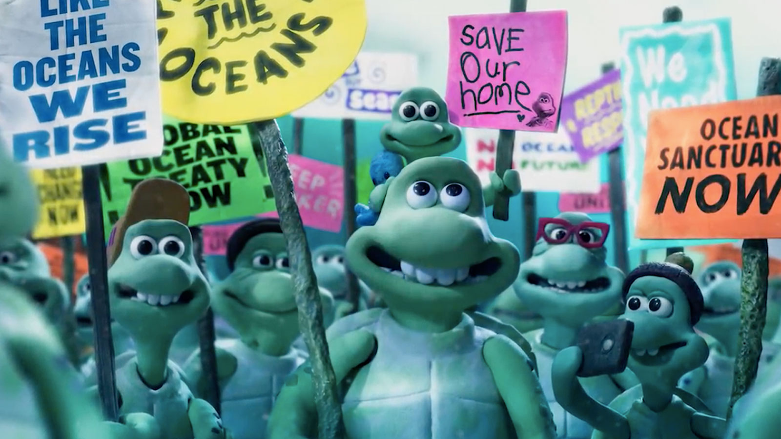 Greenpeace Turtle - HD Wallpaper 