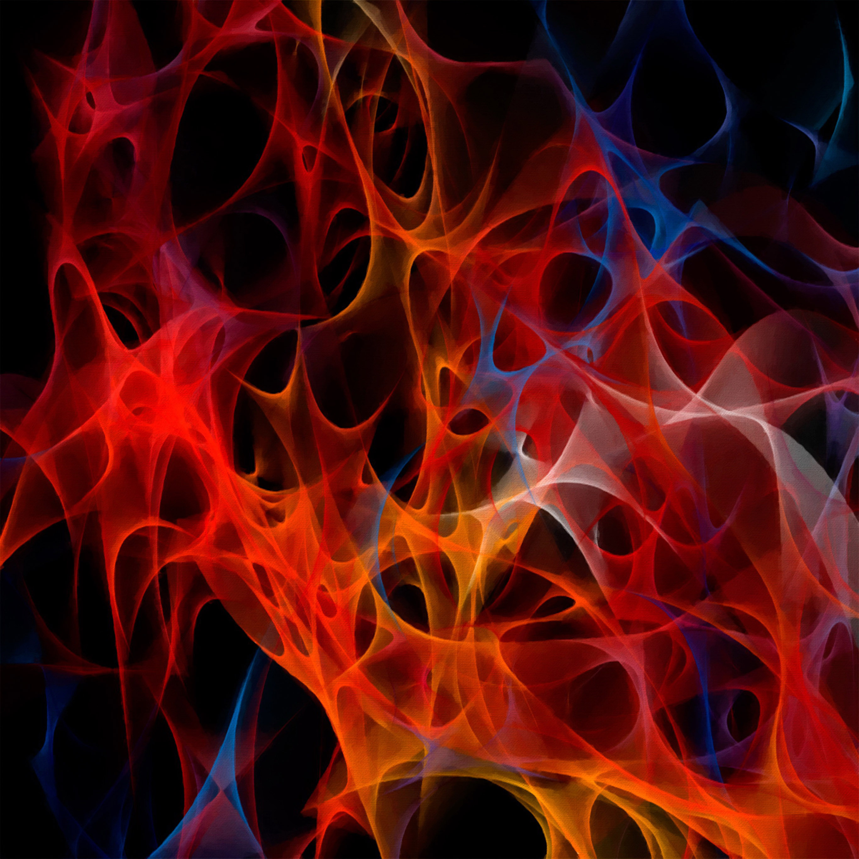 Wallpaper - HD Wallpaper 