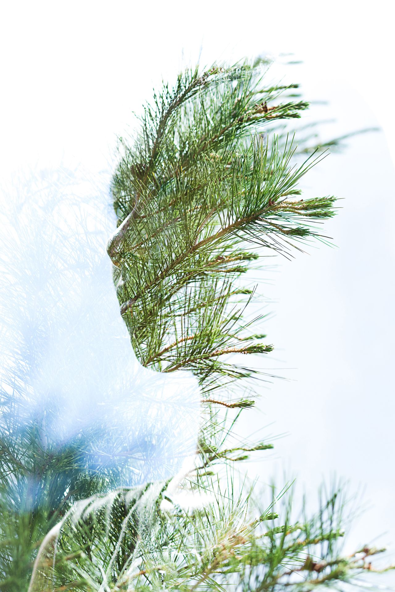 Double Exposure Portrait Canon - HD Wallpaper 