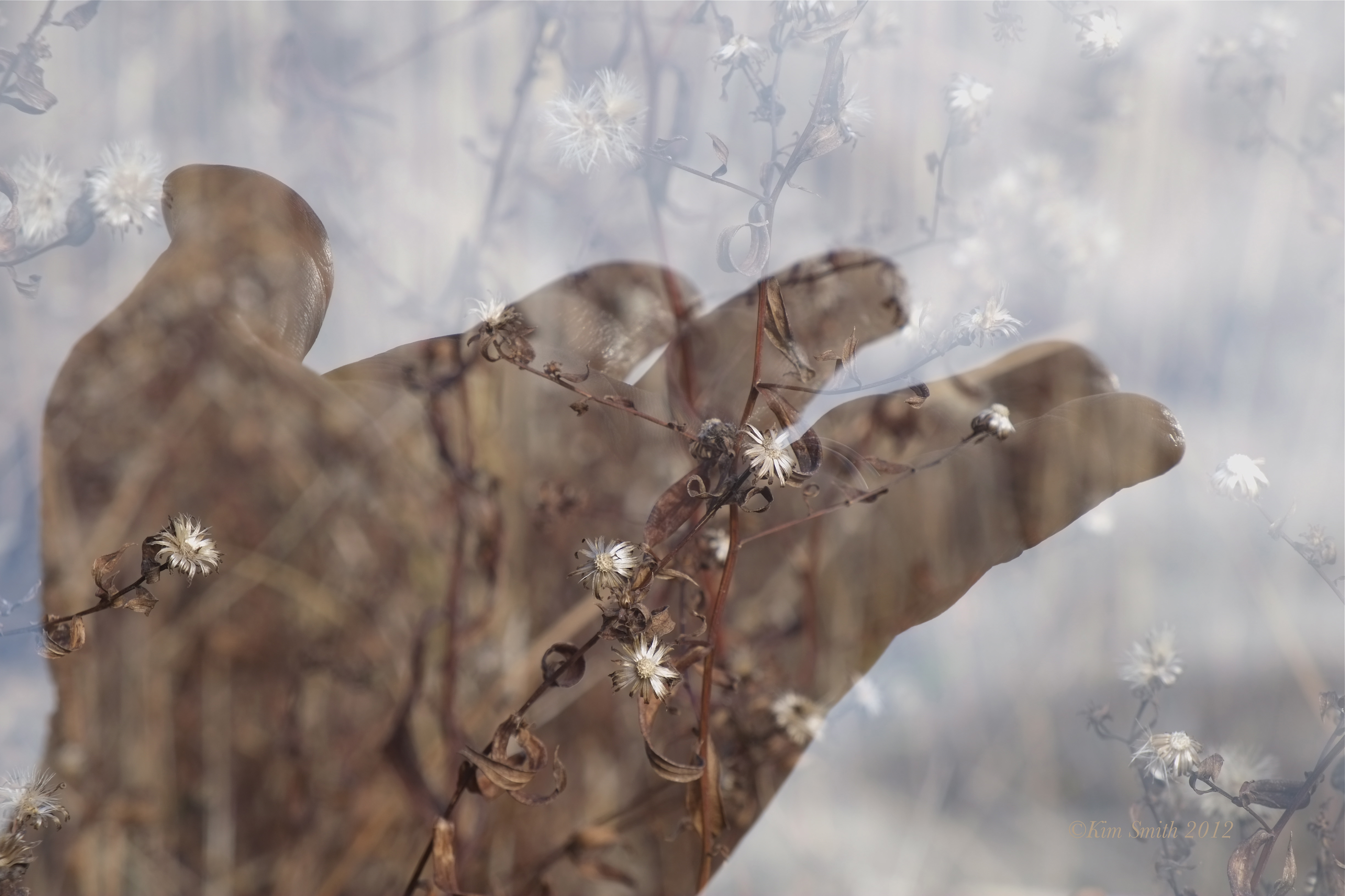 Fujifilm X-e1 Multiple Exposure ©kim Smith - Fujifilm Multiple Exposure - HD Wallpaper 