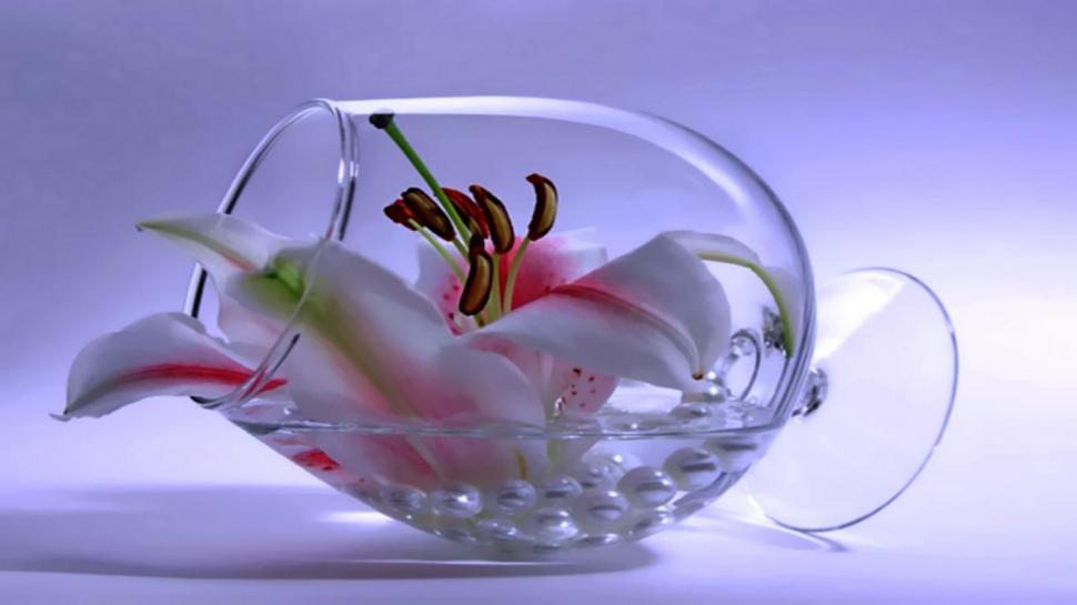 Beautiful Tulip Flower Wallpaper,flower Wallpaper,glass - 3d Glass Wallpaper Floral - 970x545 Wallpaper Beautiful Tulip Flower Wallpaper,flower Wallpaper,glass - 3d Glass Wallpaper Floral - 970x545 Wallpaper