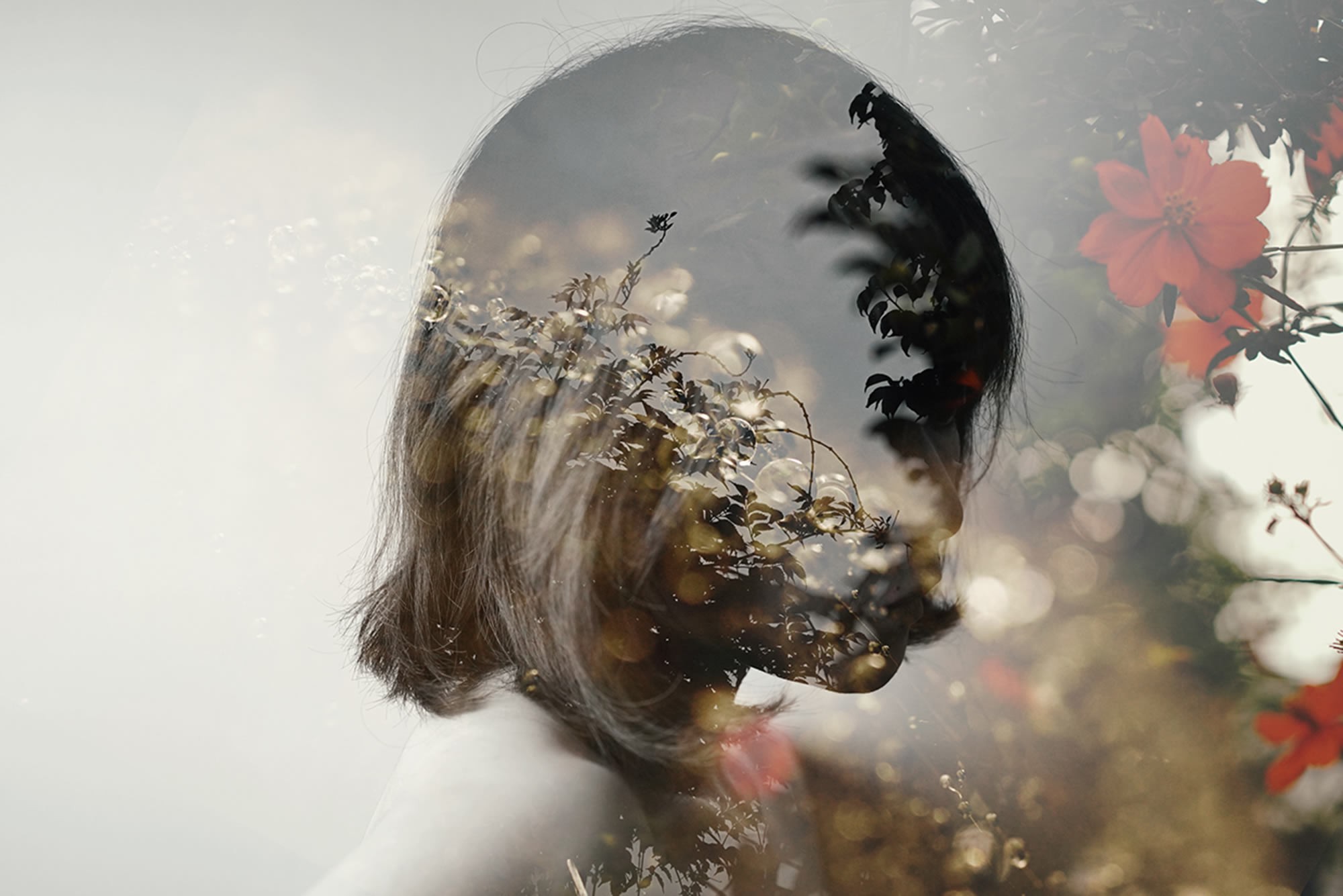 Miki Takahashi Photographer - HD Wallpaper 