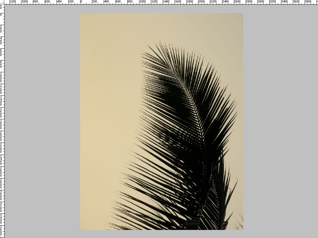 Double Exposure Images For Editing - HD Wallpaper 