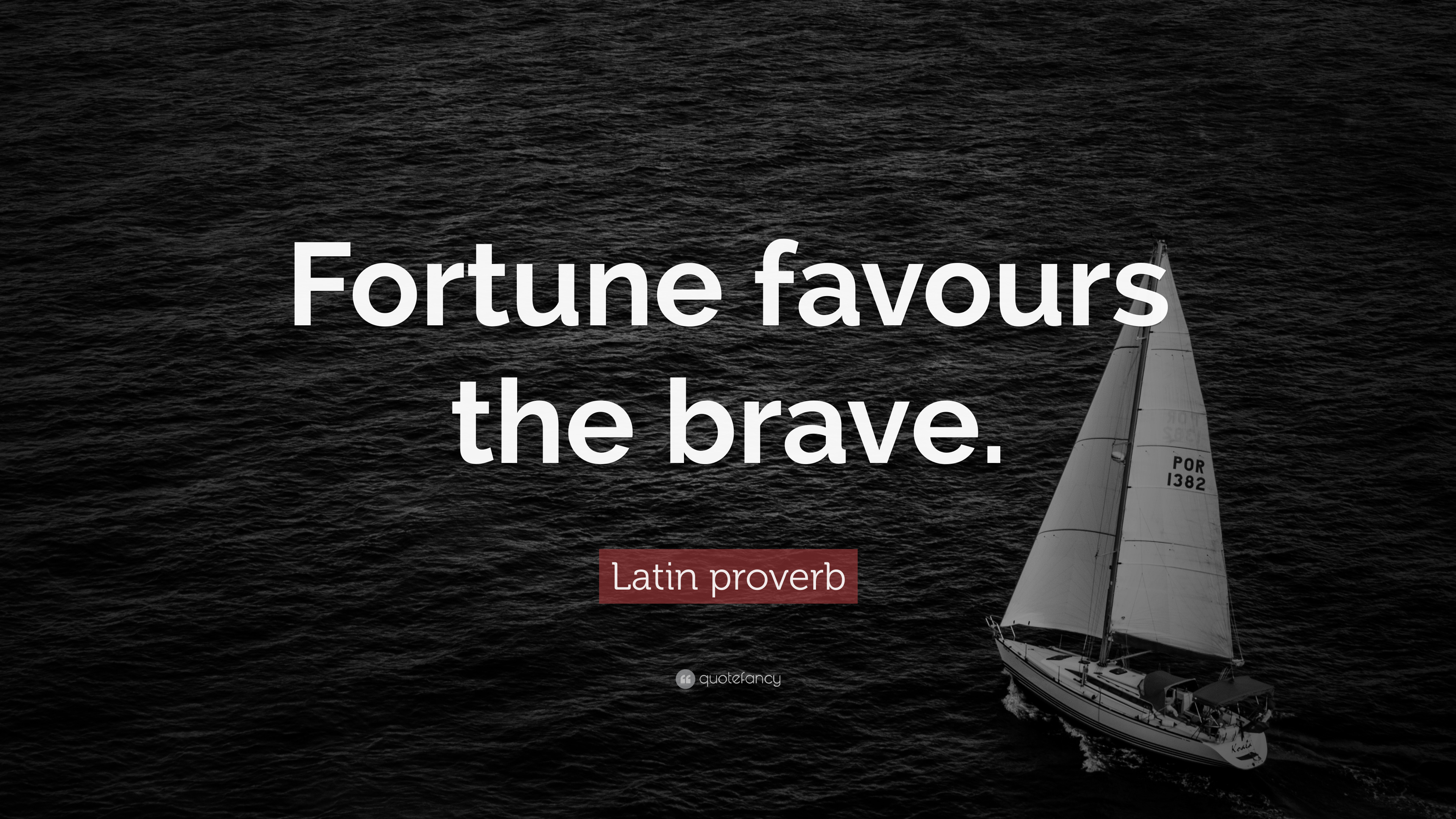 Latin Proverb Quote - Fortune Favours The Brave Quotes - HD Wallpaper 