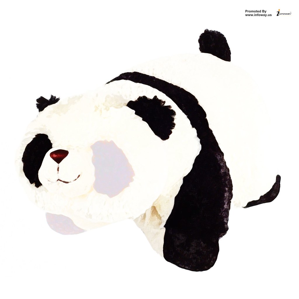 Pee Wee Pillow Pet Cat - HD Wallpaper 