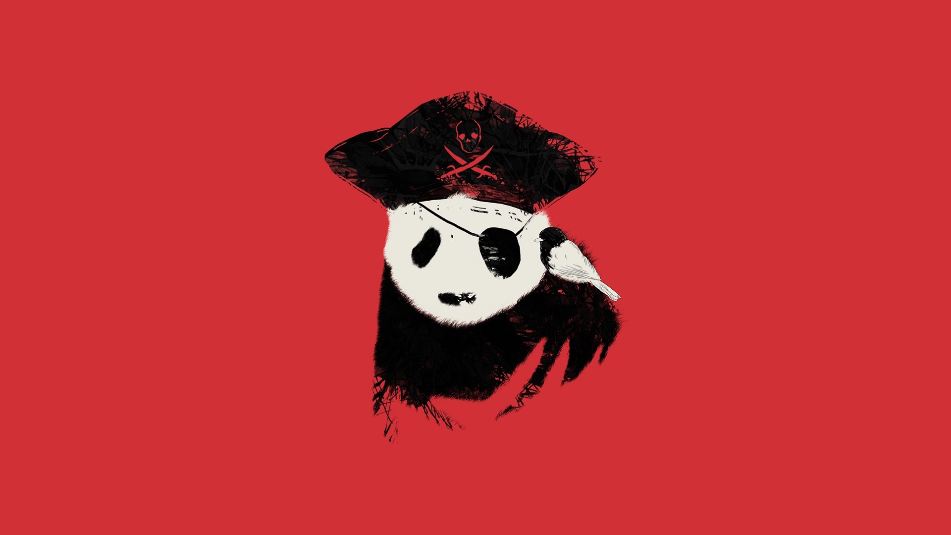 Oso Panda Pirata - HD Wallpaper 