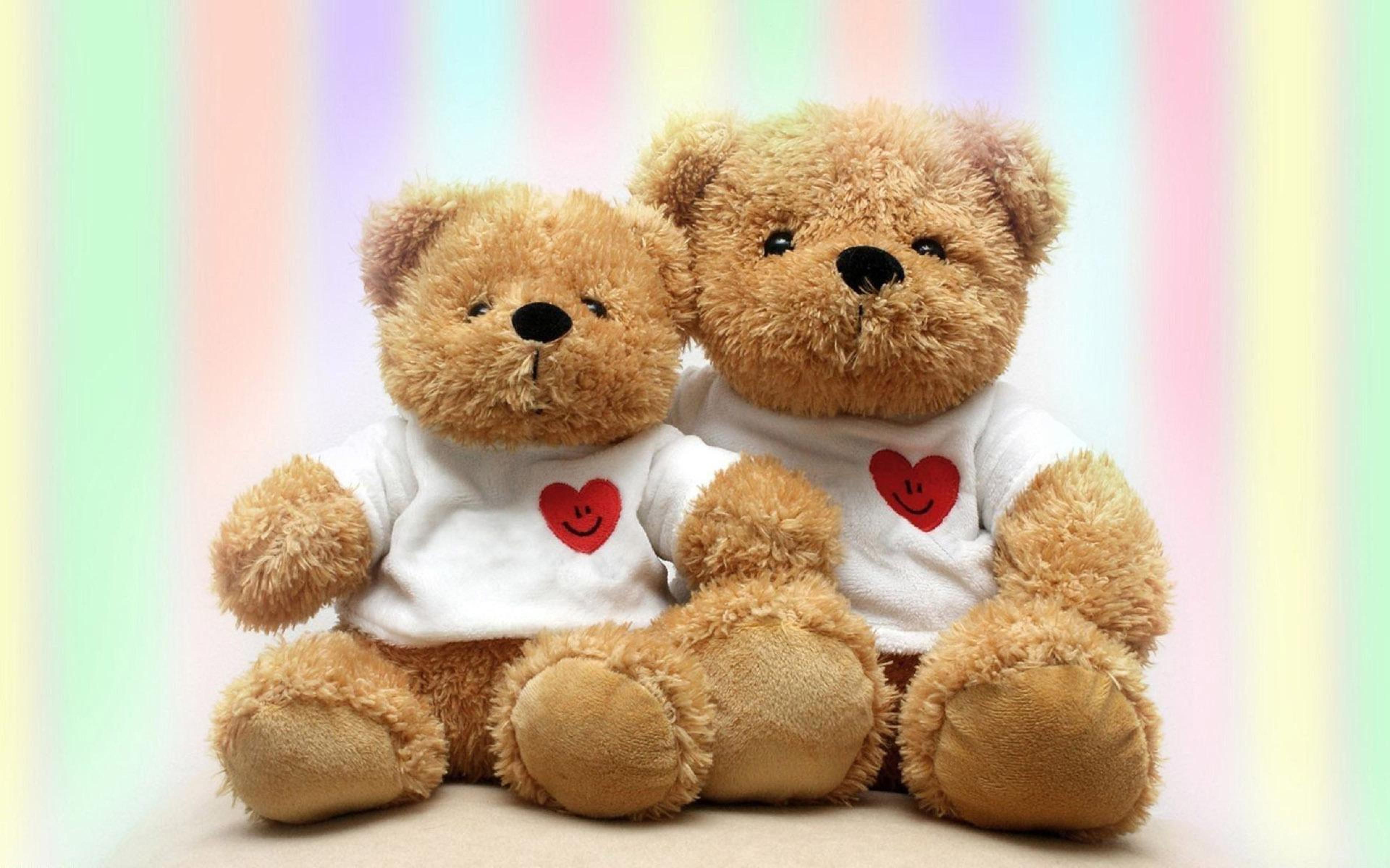 Bear Photography Love Teddy Teddy Bears - 2 Teddy Bears Love - HD Wallpaper 