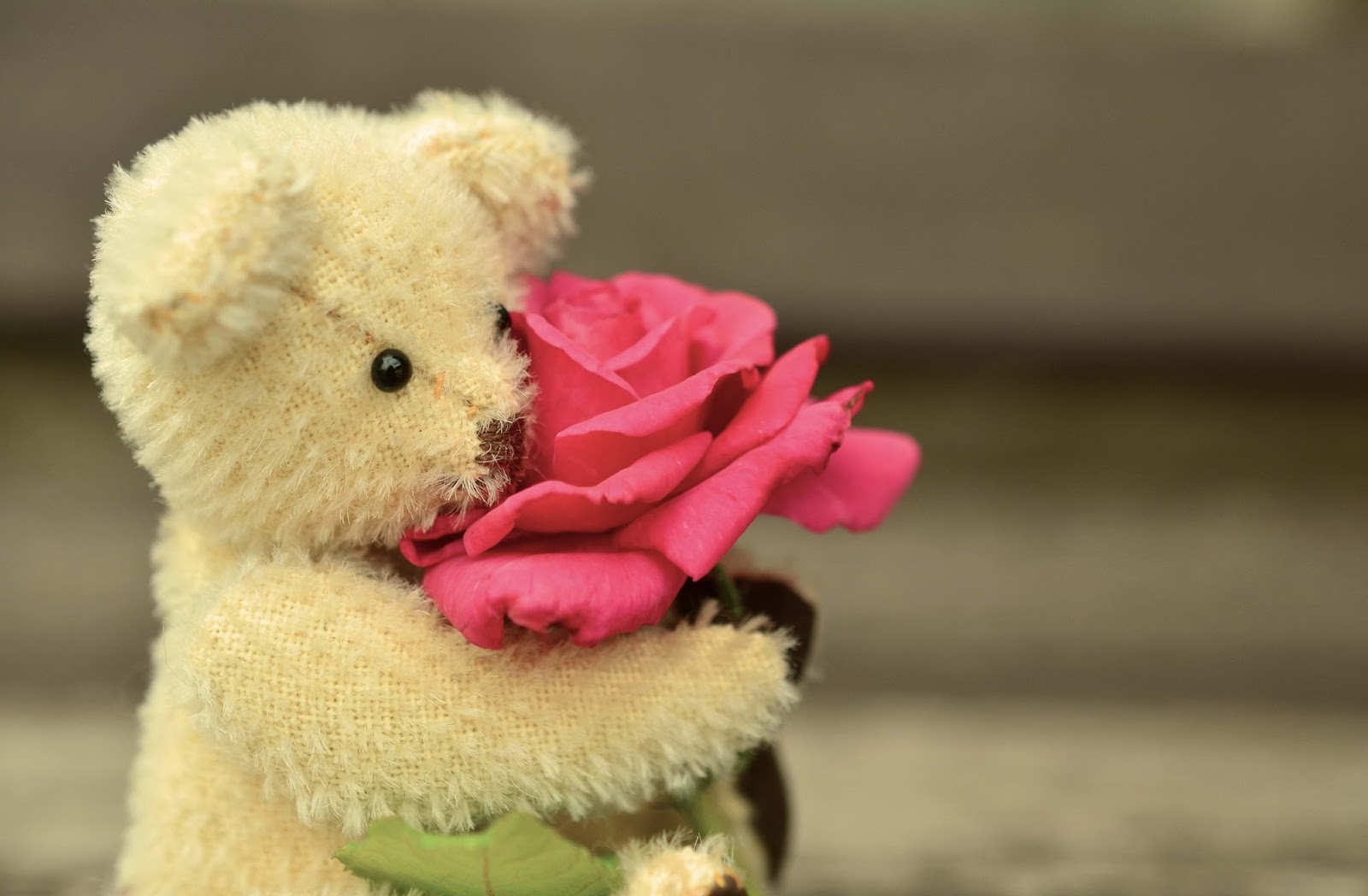 High Resolution Walls Of Cutyteddy - Happy Teddy Day For Husband - HD Wallpaper 