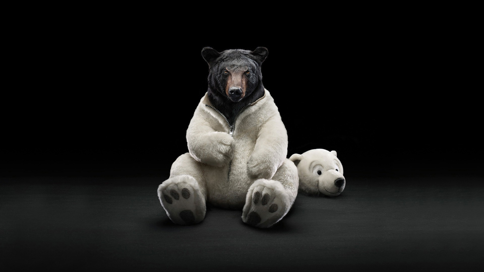 Bear Costume Hd Wallpaper - Hd Wallpapers Bear - HD Wallpaper 