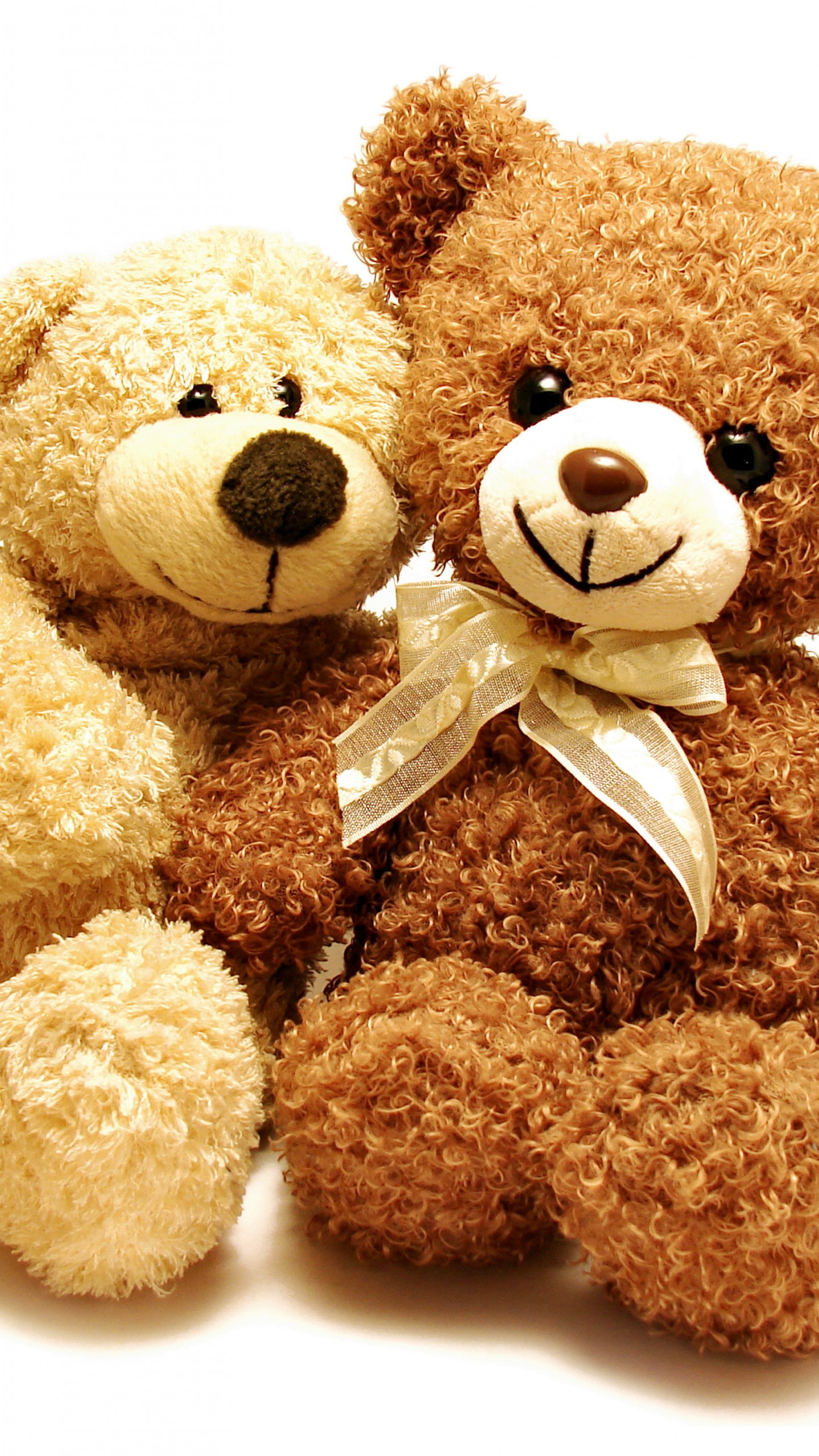 Cute Sorry Teddy Bear - HD Wallpaper 