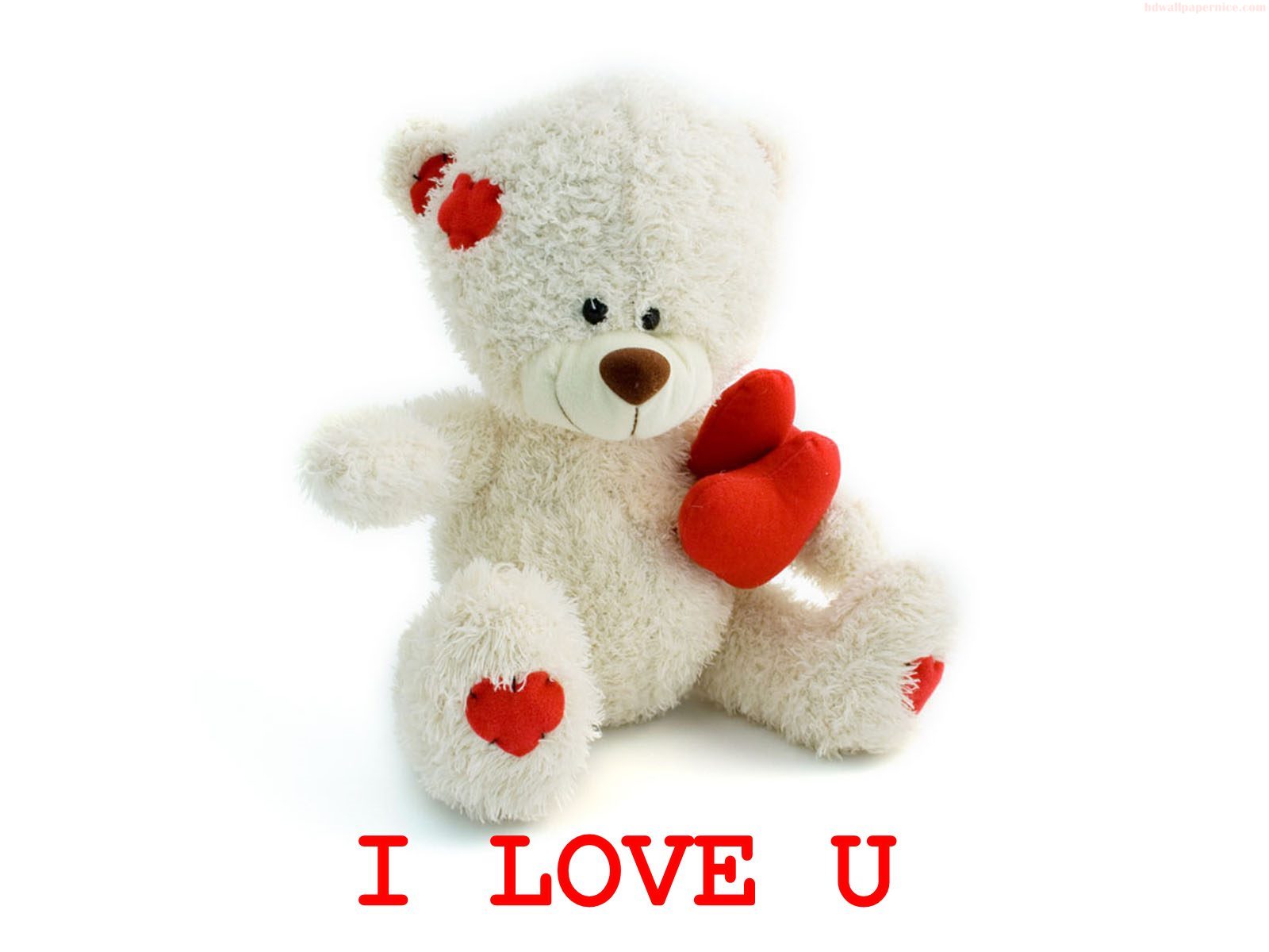 Valentine Day Love Slogan With Teddy Bear Cute Pics - Love Birthday Gift - HD Wallpaper 